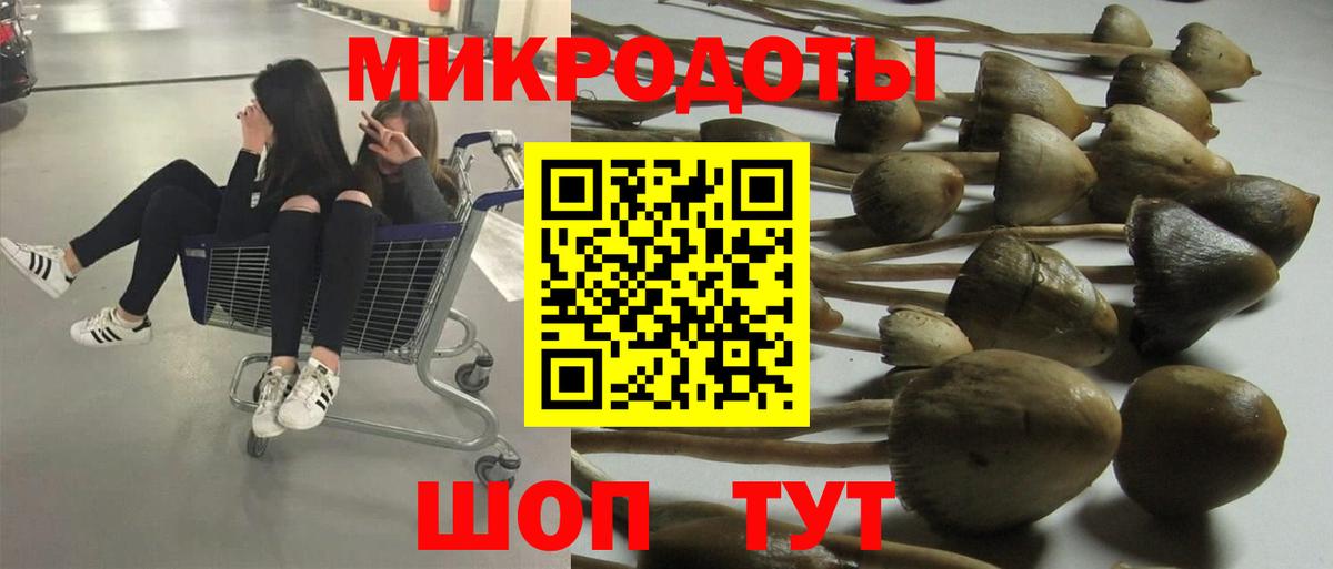 Ростов-на-Дону  Псилоцибиновые грибы прущие грибы  Псилоцибиновые грибы прущие грибы  Вход с VPN 